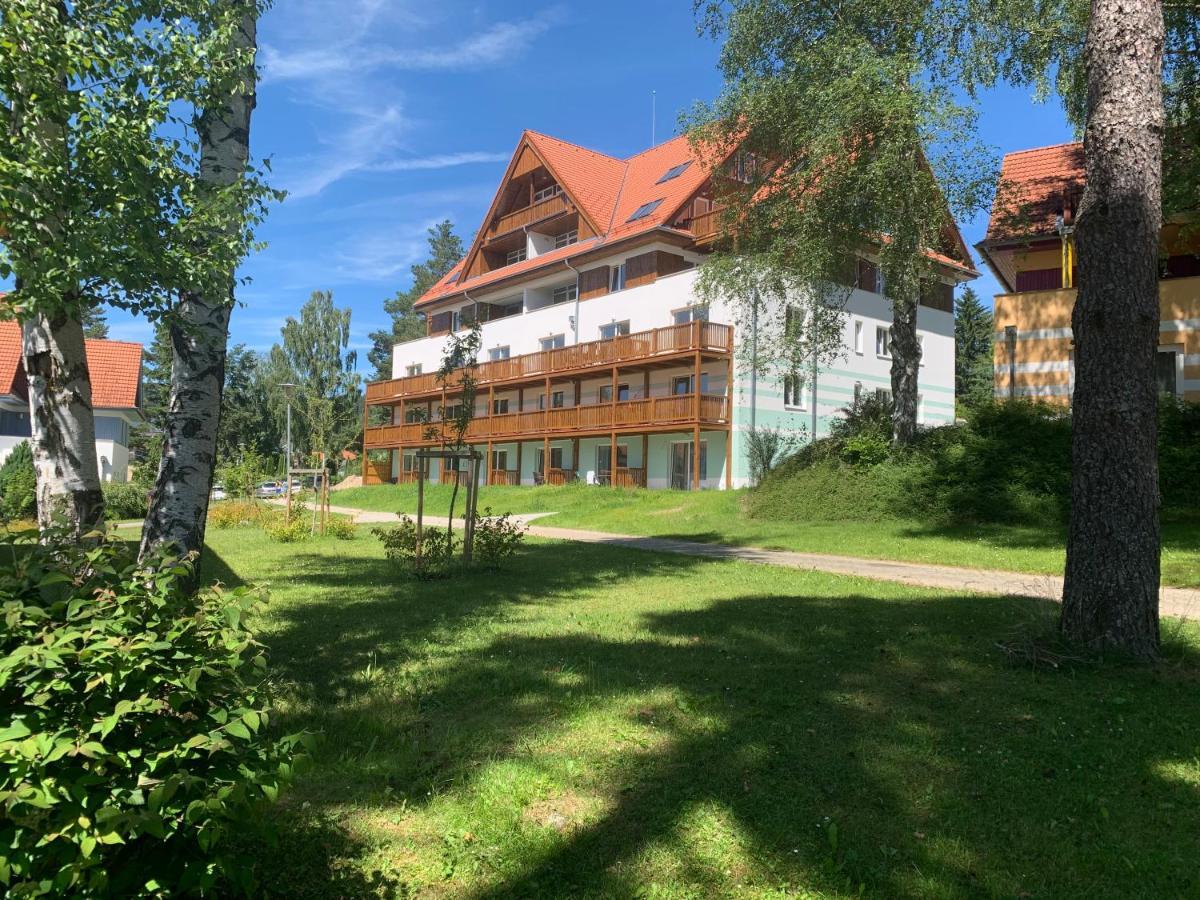 Apartman Kapy Lipno Липно над Вълтава Екстериор снимка